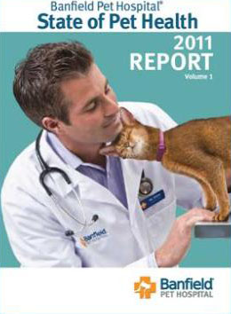 Banfield Pet Hospital divulga estudo inédito sobre a saúde dos animais de estimação